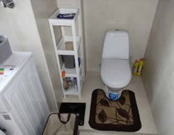 ��������� �������� �������, ����������, ������������� (���������) ���� 20