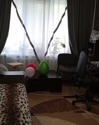    -1  212694619  6