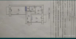   , ,  (), ,  .  5