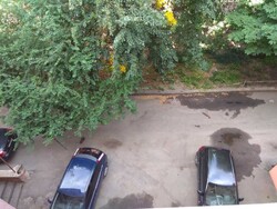 Продаж квартири в центральній частині міста код № 213-378-509 фото 24 Продаж квартири в центральній частині міста код № 213-378-509 фото 24