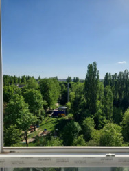 ��������� �������� �������, ���������� ���� 6