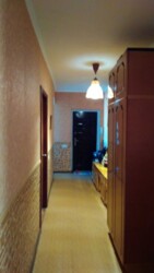  3-   - .  212251594  3