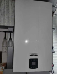 ��������� �������� �������, ����������, ������������� (���������) ���� 17