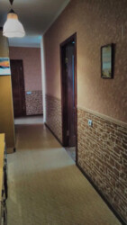  3-   - .  212251594  2