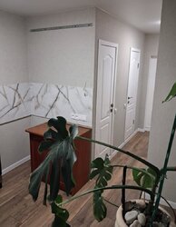 ��������� �������� ���. ���������������, �������, ����������, ������������� (���������), ������� ���� 20