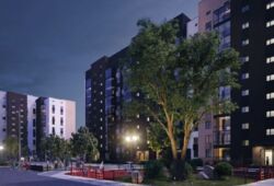 1  -   12 212497831  3