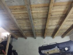 ��������� ����� �������� �. ���., �����-���������, �����-����������, ��� ���� 5