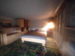 ��������� ����� ��������, �����-���������, �����-���������� ���� 7