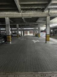 ��������� ����� �������� ���., �����-���������, �����-����������, ����� ���� 2