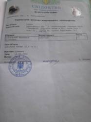 ������ ���� 2