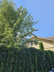 ������ 2-������� ��� �� �������� / �������� ���� 24