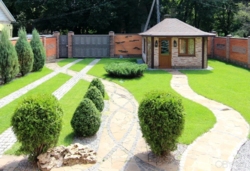 ������ �������� ��� (237�2), ����� ��. ������������ / ����� ������ ���� 22