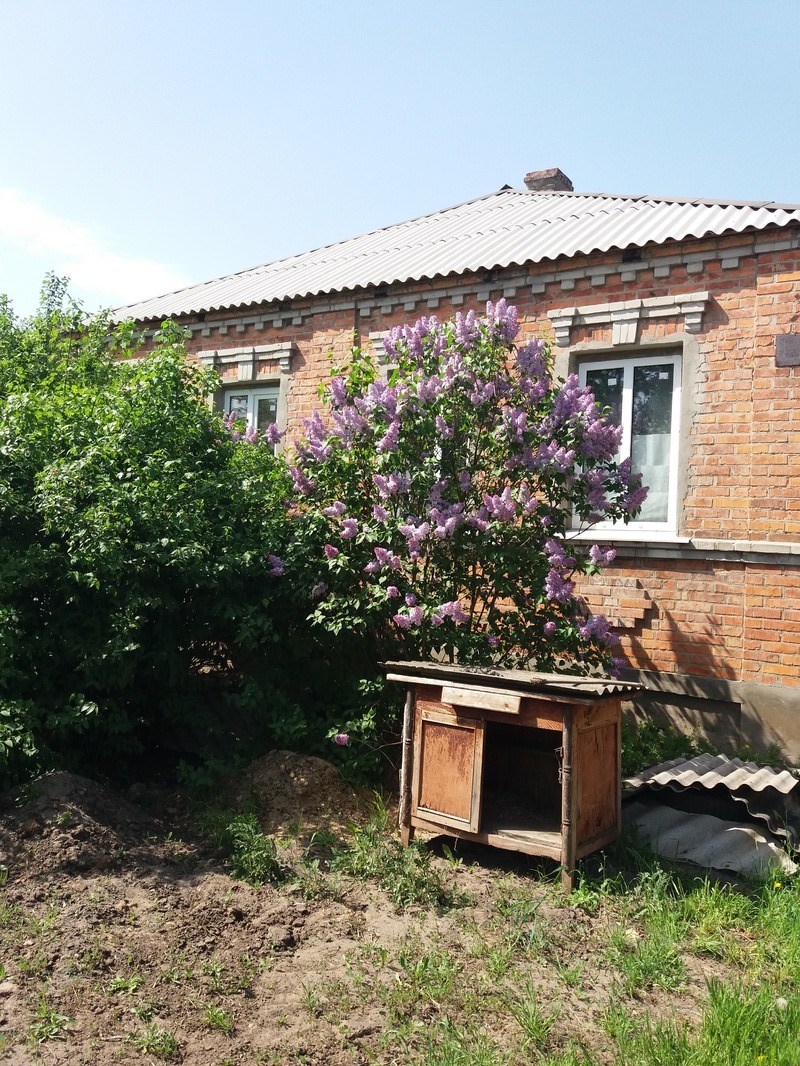 ������ ��� �.�������� ����������� ����� ���� 11