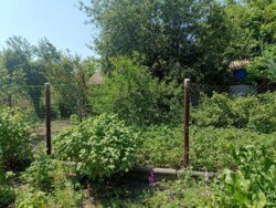 ������ ������� � ����� �.�쳺�� ���� 12