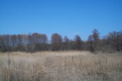 ������ ��� �.�������� ��������� ����� ���� 3