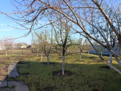 ������ ��� � �������� ������� ����� ��������� ����� ���� 11