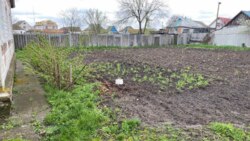 ������ ���� ���������� ������� � �.�.����� ���� 1