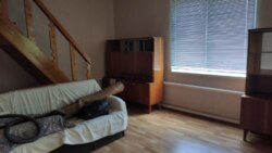 ������ ��������� ���� �.������� �쳿������ ����� ���� 12