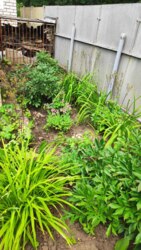 ������ ��������� ���� �.������� �쳿������ ����� ���� 11