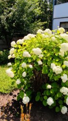 ������ ��������� ���� �.������� �쳿������ ����� ���� 1