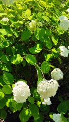 ������ ��������� ���� �.������� �쳿������ ����� ���� 9