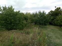 Продам домик в селе Лиман Змииевской район фото 7 Продам домик в селе Лиман Змииевской район фото 7