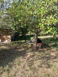 ������ ���� � ���� ���������� ���� 15