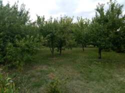 Продам домик в селе Лиман Змииевской район фото 10 Продам домик в селе Лиман Змииевской район фото 10