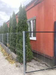 ������ ������� � ����� �.�쳺�� ���� 1