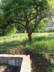 ������ ������� � ������� ����������� ���������� ��� �� ����� ��������� ����� ����� ���� 6