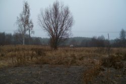 ������ ��� ��� ��������� ������� ������ ��� � ����� � 100 �. ��������� ����� ���� 3