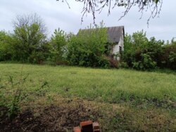 ������ ������ ����� � ���� ������� ��������� ����� ���� 19