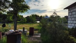 ������ ��� �.����� ����� ������ ����� ���� 13