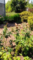 ������ ��������� ���� �.������� �쳿������ ����� ���� 7