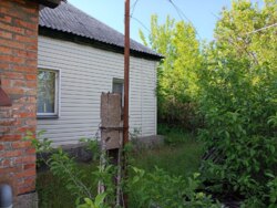 ������ ��� � ������ ���� 7