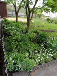 Продам две дачи на одном участке село Задонецкое Змиевской район фото 12 Продам две дачи на одном участке село Задонецкое Змиевской район фото 12