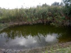 Продам домик в селе Лиман Змииевской район фото 5 Продам домик в селе Лиман Змииевской район фото 5