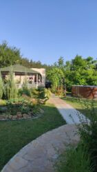 ������ ���-���� ����� �. �������� ���� 4