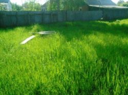 ������ ��������� ��� � ����������, ���� 5