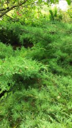 ������ ��������� ���� �.������� �쳿������ ����� ���� 8