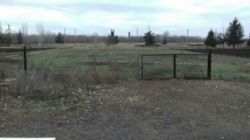 Продам дом с.Благодатное Змиевской район фото 3 Продам дом с.Благодатное Змиевской район фото 3