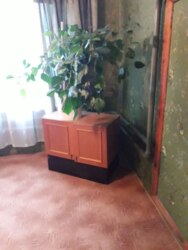 ������ �������� ������� �.�������� ���� 5