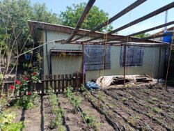 ������ ������� � ����� �.�쳺�� ���� 11