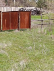 ������ ������ ��� � ������� �������� 300 ������ ����� �.����� �.������ ���� 14