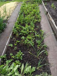 Продам две дачи на одном участке село Задонецкое Змиевской район фото 10 Продам две дачи на одном участке село Задонецкое Змиевской район фото 10