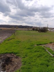 ������ ������ ��� � ������� �������� 300 ������ ����� �.����� �.������ ���� 1