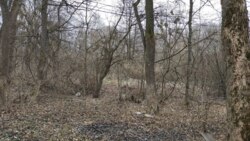 ��������� ���������� ������ ����� ������� ������� ����� ���� 4