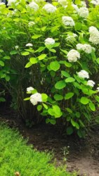 ������ ��������� ���� �.������� �쳿������ ����� ���� 10