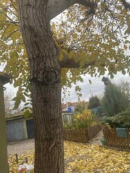 ������ ������� � ����� �.�쳺�� ���� 3