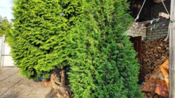 ������ ��� �.����� ����� ������ ����� ���� 10